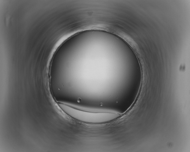 X0000097471200200802221229