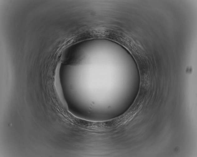 X0000097471201200802221228