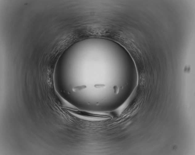 X0000097471202200802221228