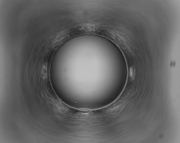 X0000097471203200802221228