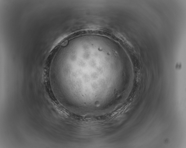 X0000097471208200802221228