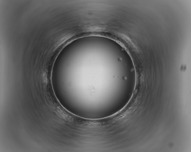 X0000097471209200802221228