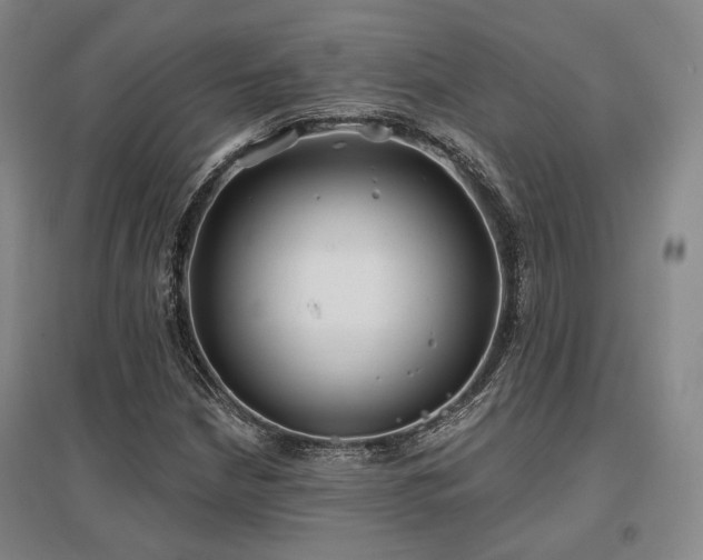X0000097471210200802221228