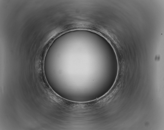 X0000097471211200802221228