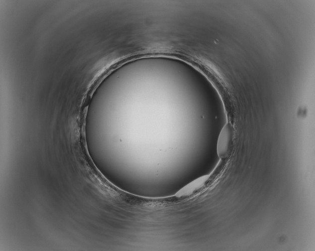 X0000097471212200802221228