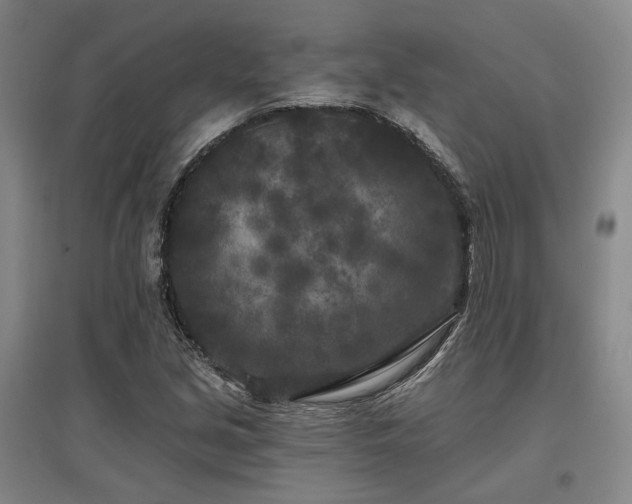 X0000097471213200802221228