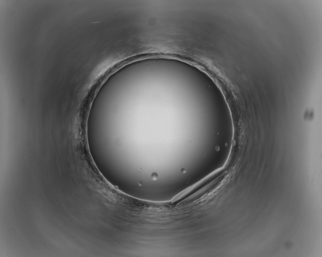 X0000097471215200802221228