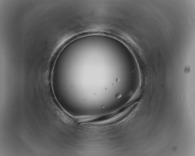 X0000097471216200802221228