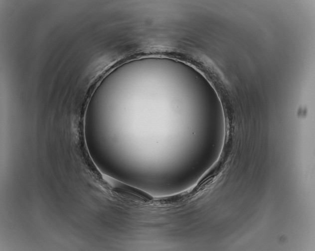 X0000097471217200802221228