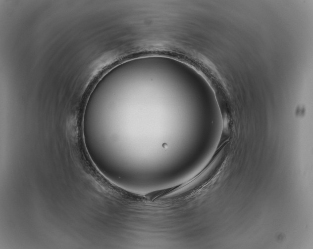 X0000097471218200802221228