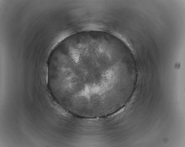 X0000097471219200802221228