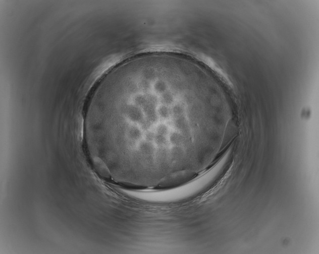 X0000097471221200802221228