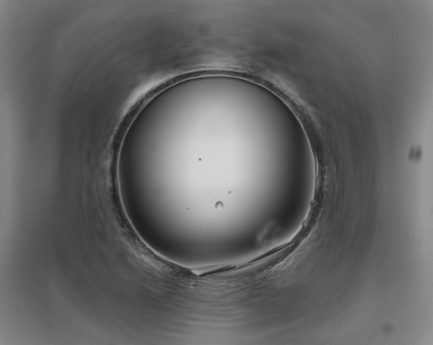 X0000097471222200802221228
