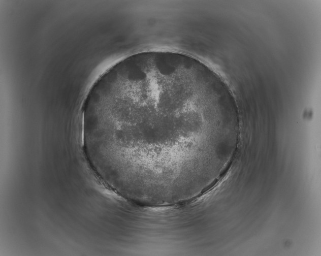 X0000097471223200802221228