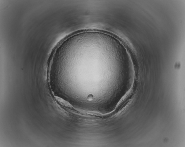 X0000097471224200802221228