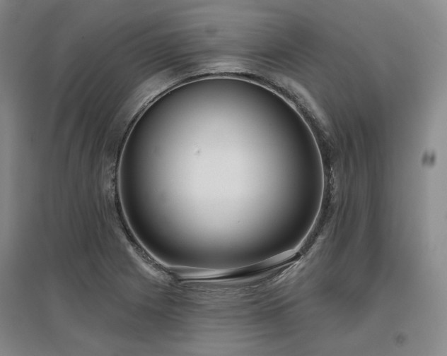 X0000097471225200802221228