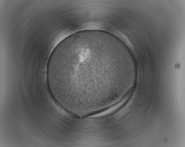 X0000097471226200802221228