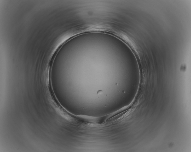 X0000097471227200802221228