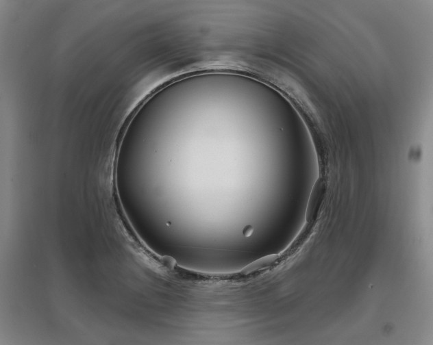X0000097471228200802221228