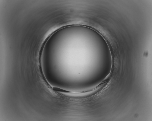 X0000097471230200802221228
