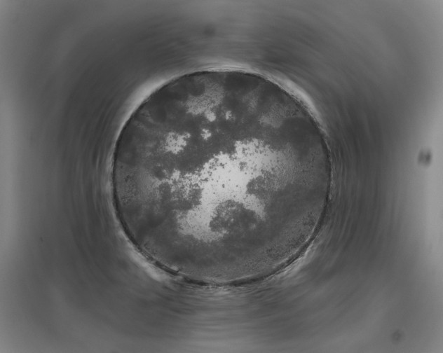X0000097471231200802221228