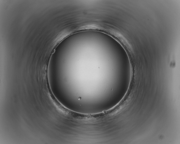 X0000097471233200802221228