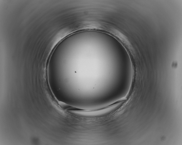 X0000097471234200802221228