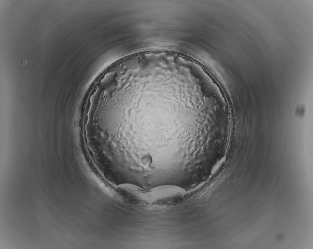X0000097471235200802221228