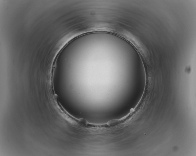 X0000097471236200802221228