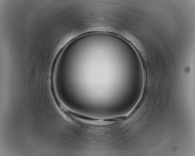 X0000097471237200802221228