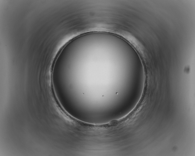 X0000097471238200802221228