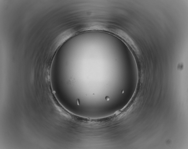 X0000097471241200802221228