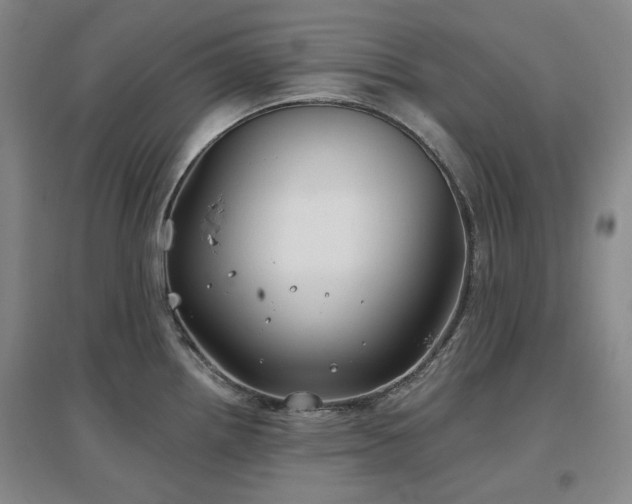 X0000097471242200802221229