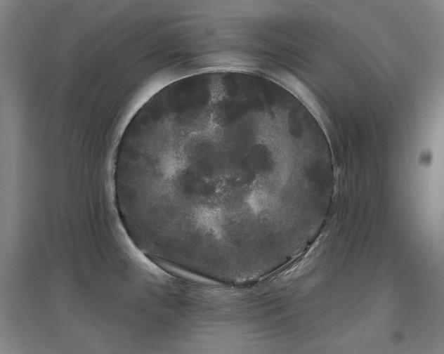 X0000097471243200802221229