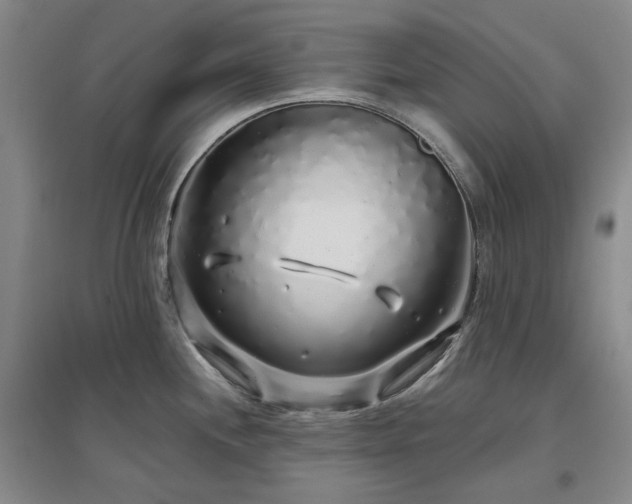 X0000097471244200802221229