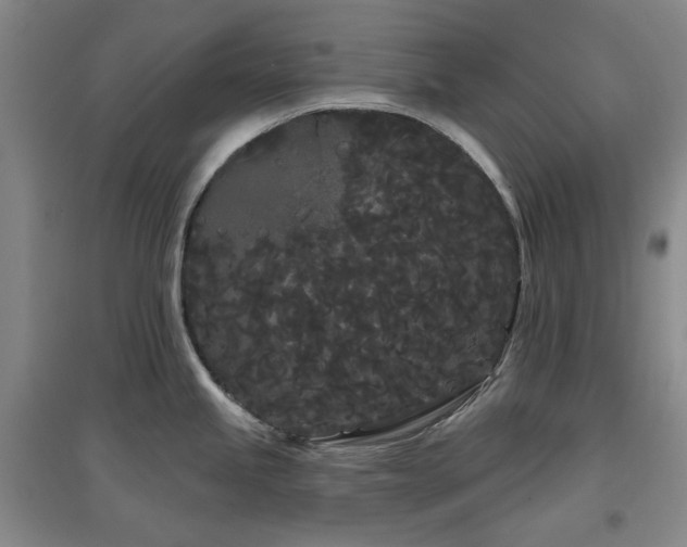 X0000097471245200802221229
