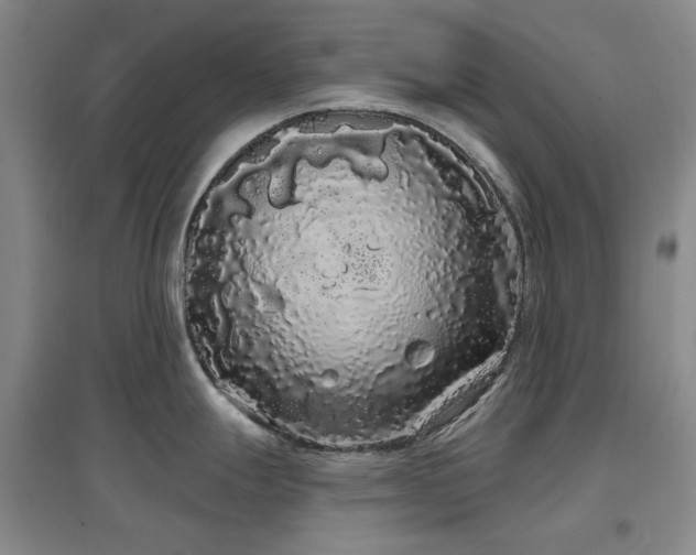 X0000097471247200802221229