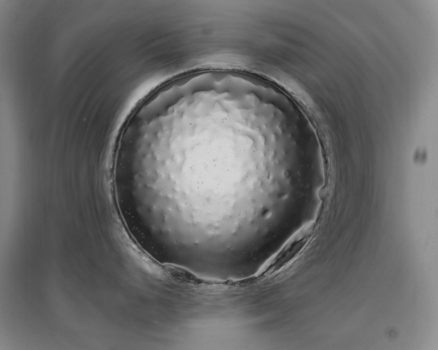 X0000097471248200802221229