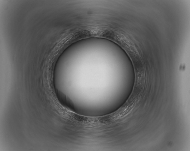 X0000097471249200802221228