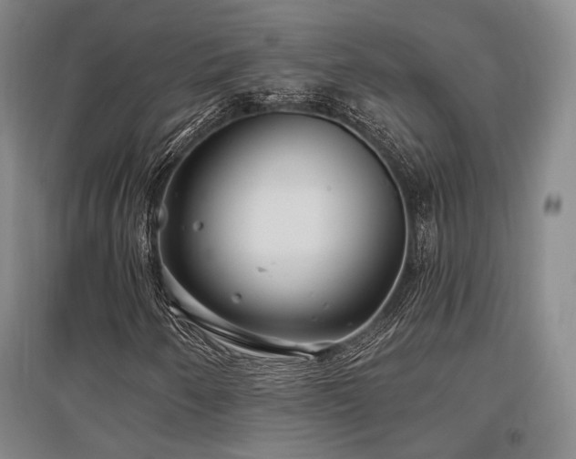 X0000097471250200802221228