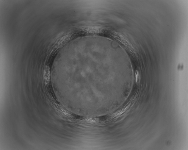 X0000097471251200802221228