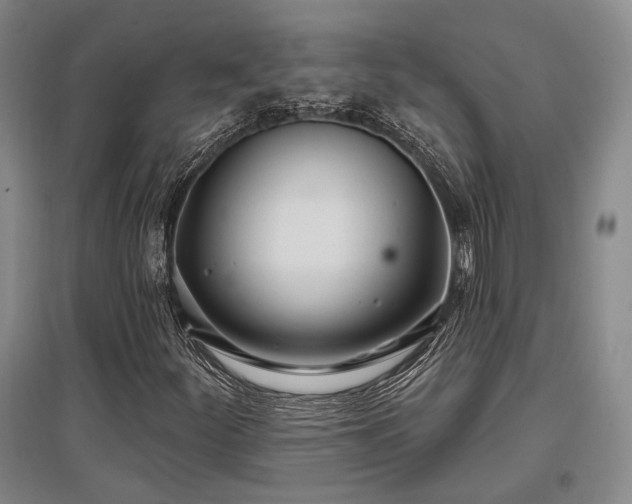 X0000097471252200802221228