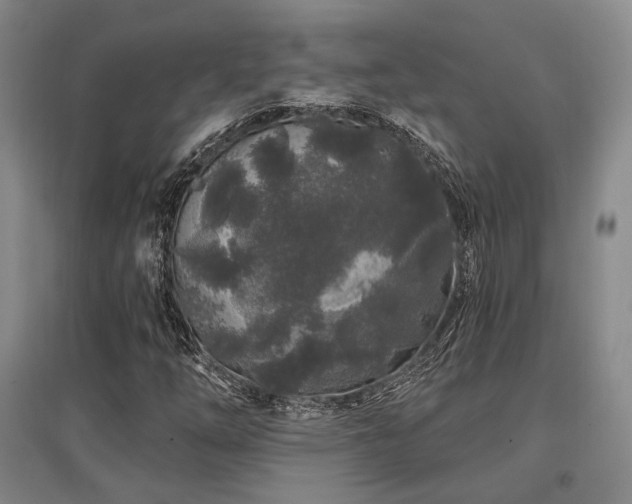 X0000097471254200802221228