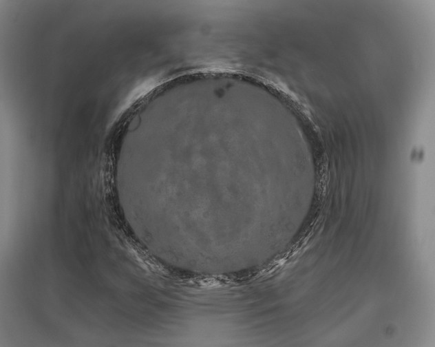 X0000097471255200802221228