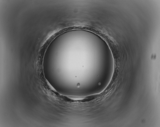 X0000097471256200802221228