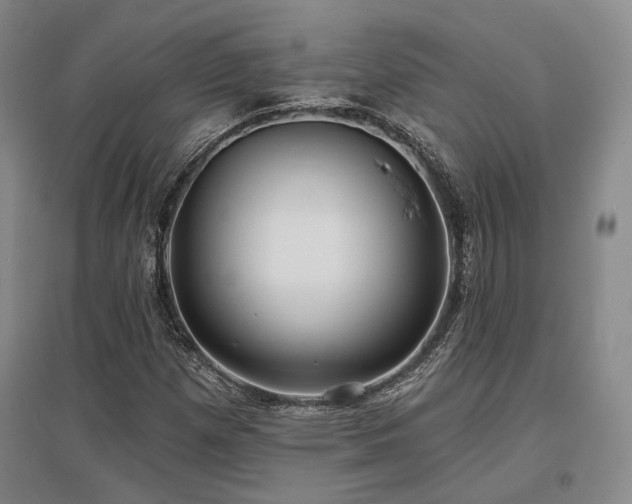 X0000097471257200802221228