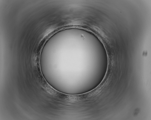 X0000097471258200802221228