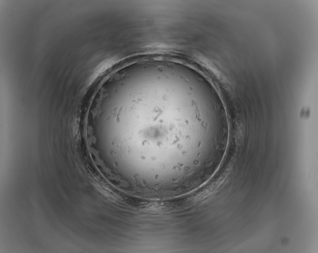 X0000097471259200802221228