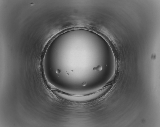 X0000097471260200802221228