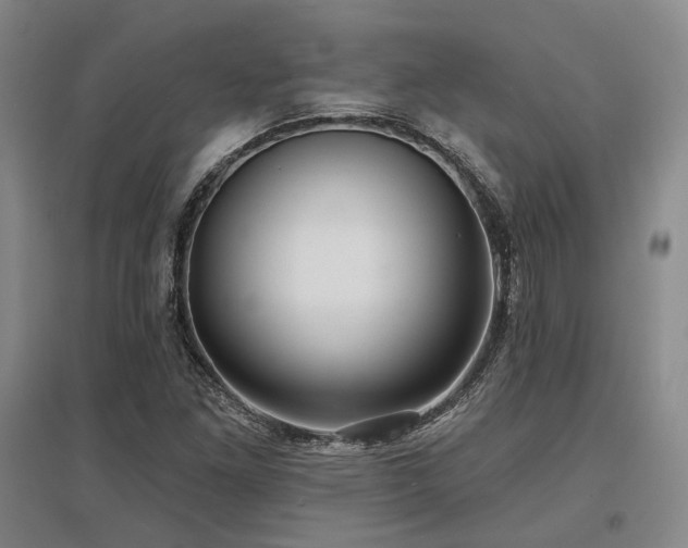 X0000097471261200802221228